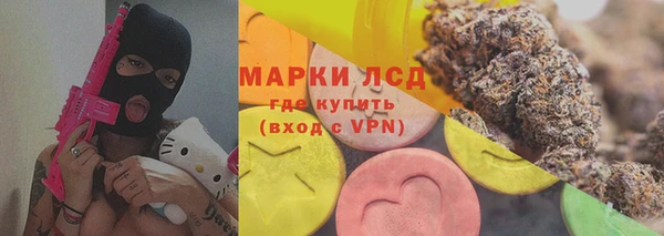 гашик Карпинск