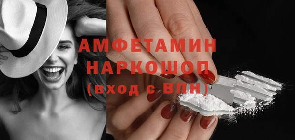 гашик Карпинск