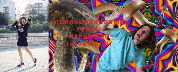 гашик Карпинск