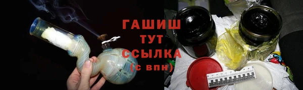 гашик Карпинск