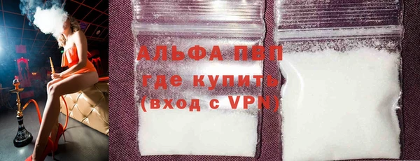 гашик Карпинск