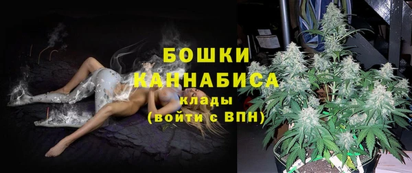 гашик Карпинск