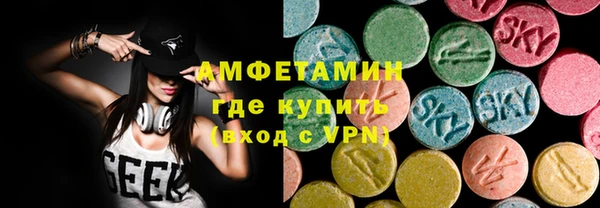 гашик Карпинск